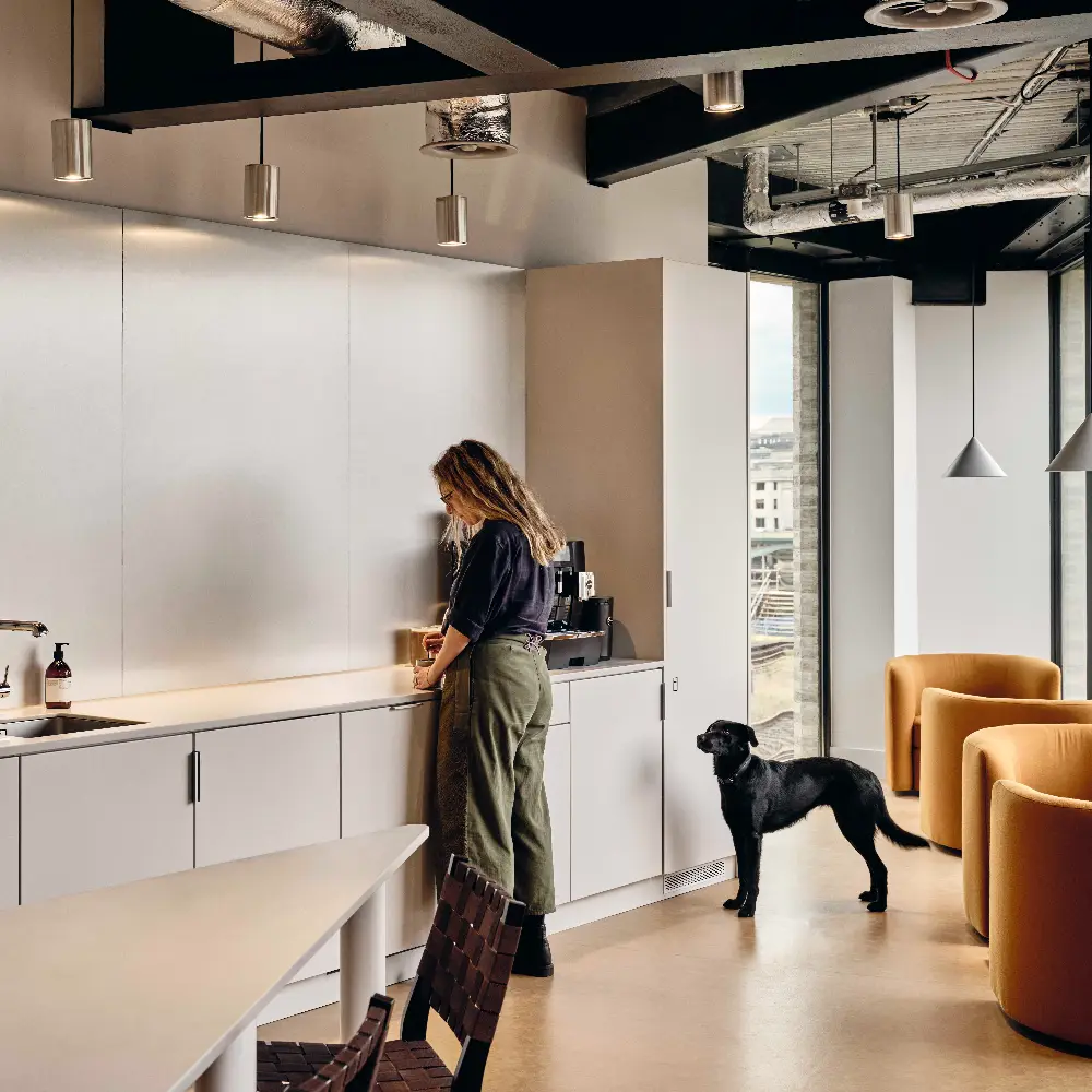 Office Perks 2023 1 Dog friendly office